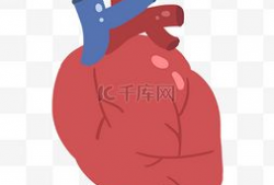 心脏漫画图片,揭秘心脏的奇妙世界
