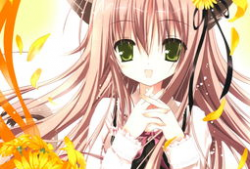 无限动漫网肉片,肉片盛宴，带你领略二次元世界