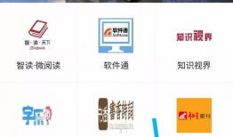 后入视频在线