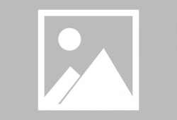 红烧排骨的做法视频,色泽红亮，肉质鲜嫩，一学就会