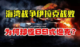 69式视频,揭秘经典动作片的魅力与影响