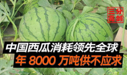 成都吃瓜爆料是真的吗,真相揭秘，是真是假？
