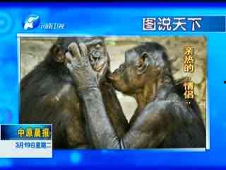 俄罗斯黄色视频,背后真相与影响