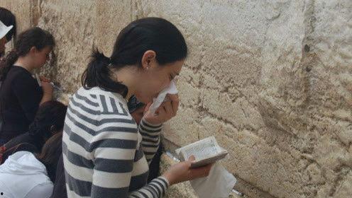 娱乐吃瓜君耍猴版