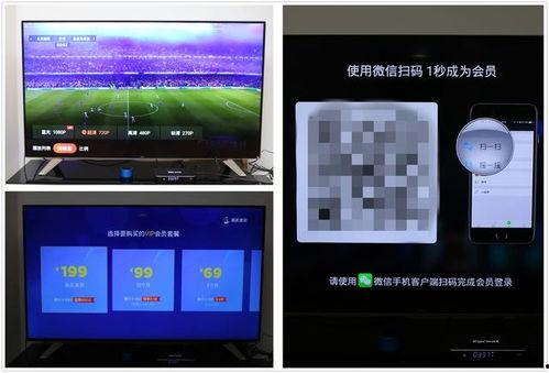 91看电视直播放器,畅享海量直播，尽在掌握