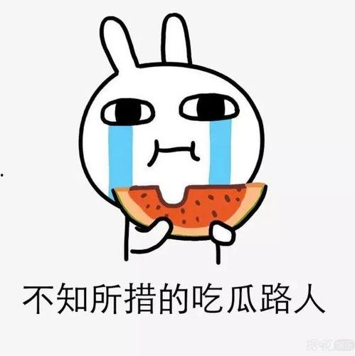 全娱乐都得吃我的瓜,全娱乐都得吃我的瓜，真相大起底！